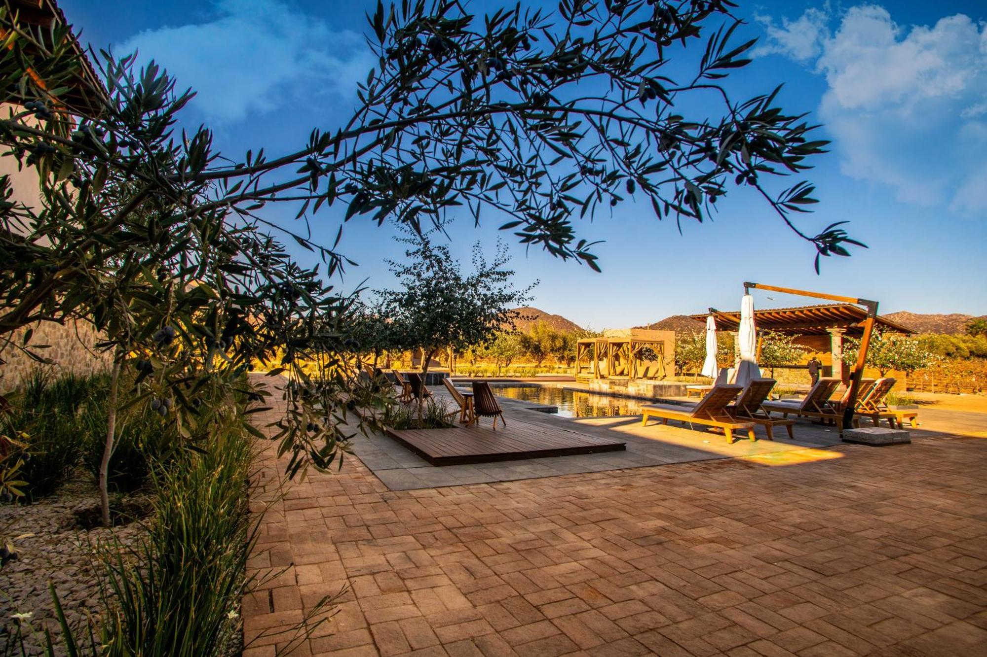 Hotel Flores De Sal-Валье-де-Гуадалупе Экстерьер фото